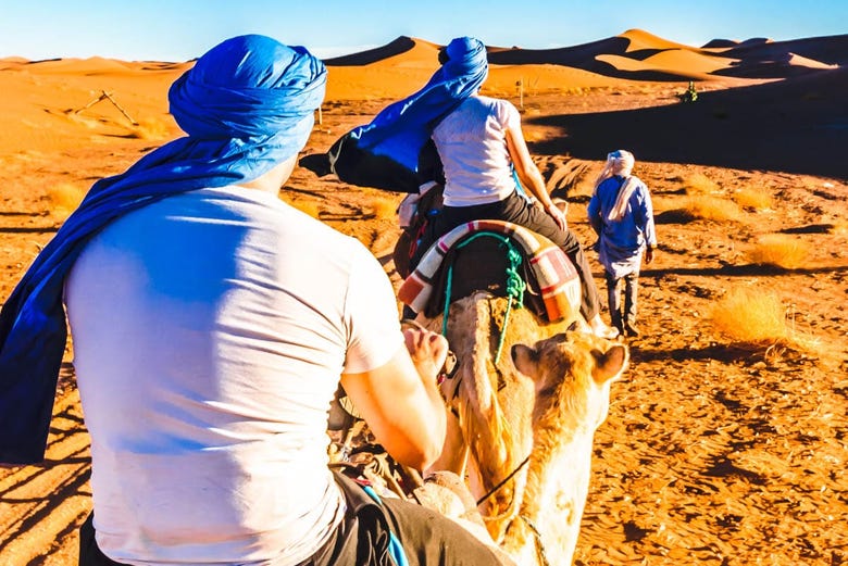 Exploring the Moroccan desert on a camel ride