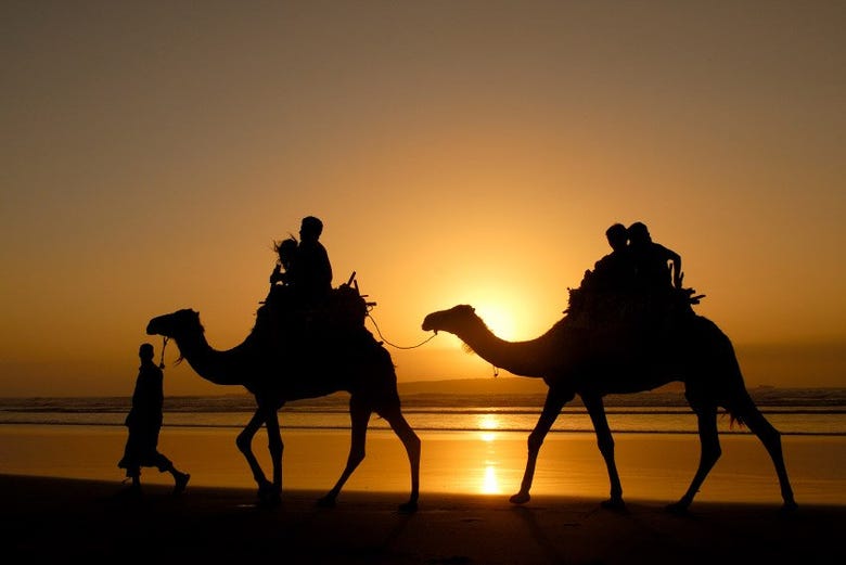 Riding camels along the Essaouira beach