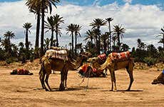 Marrakesh Travel Guide