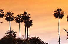 Marrakesh Travel Guide